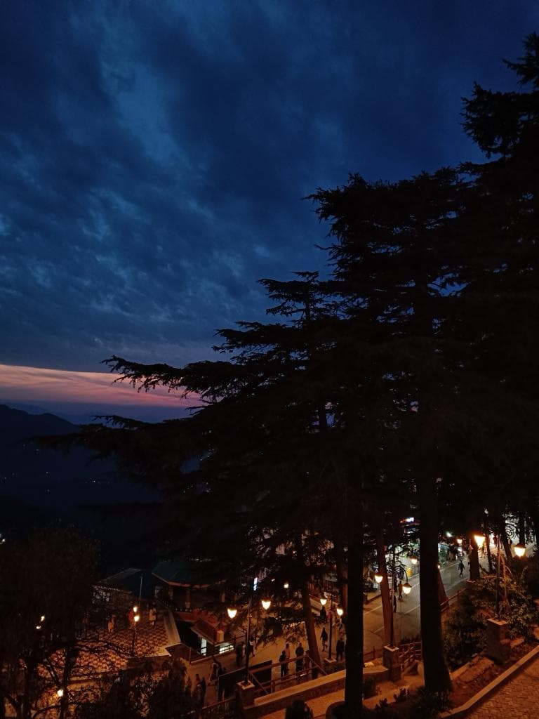 Shimla